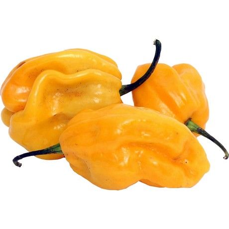 Habanera